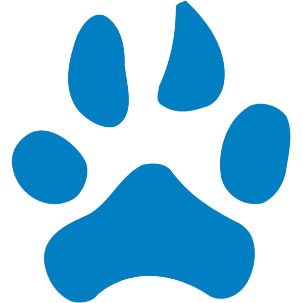 Northwood University