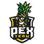 PEX Team