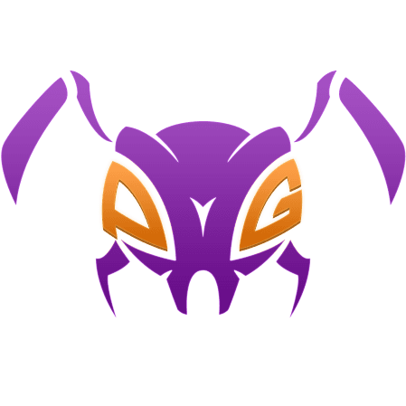 Pawn Gaming (Spanish Team)