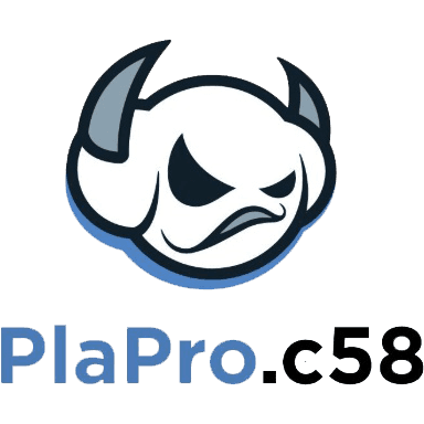 PlaPro.c58