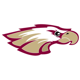 Robert Morris University Illinois