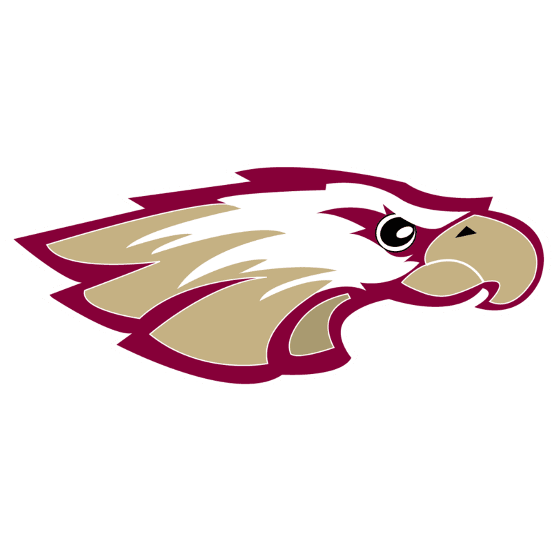 Robert Morris University Illinois