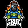 S8UL Esports logo