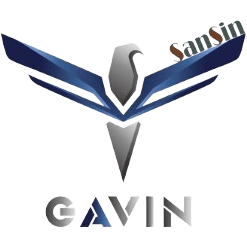Sansin Gavin