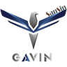 Sansin Gavin logo