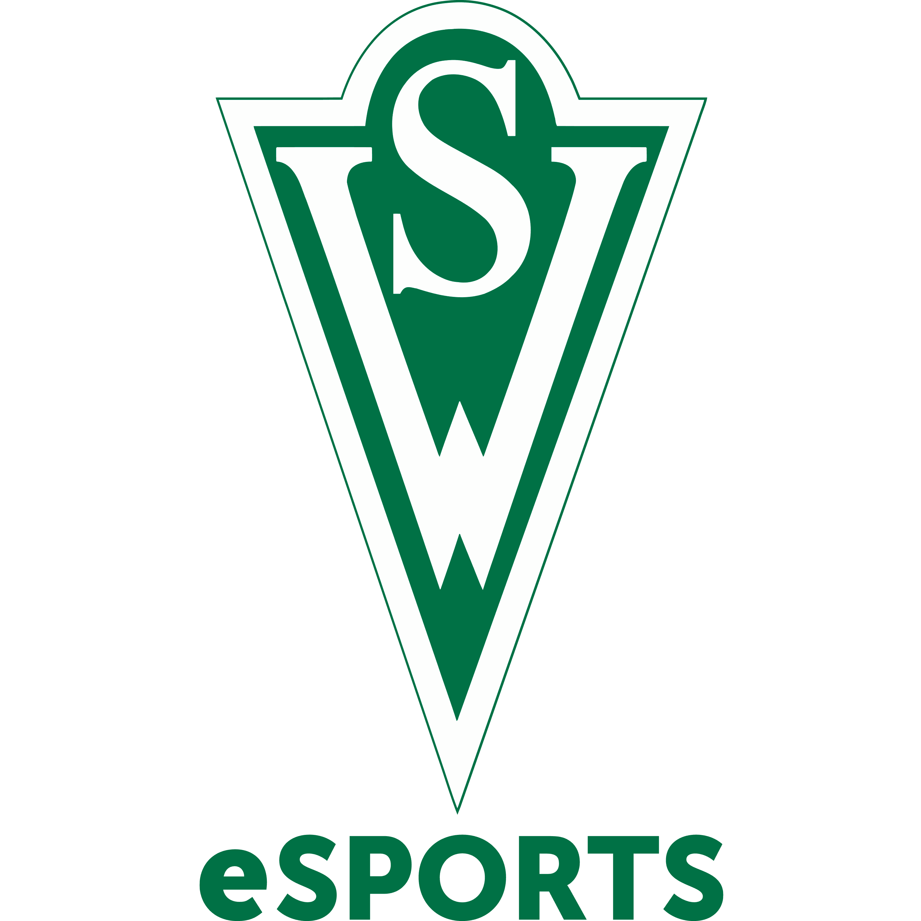 Santiago Wanderers eSports