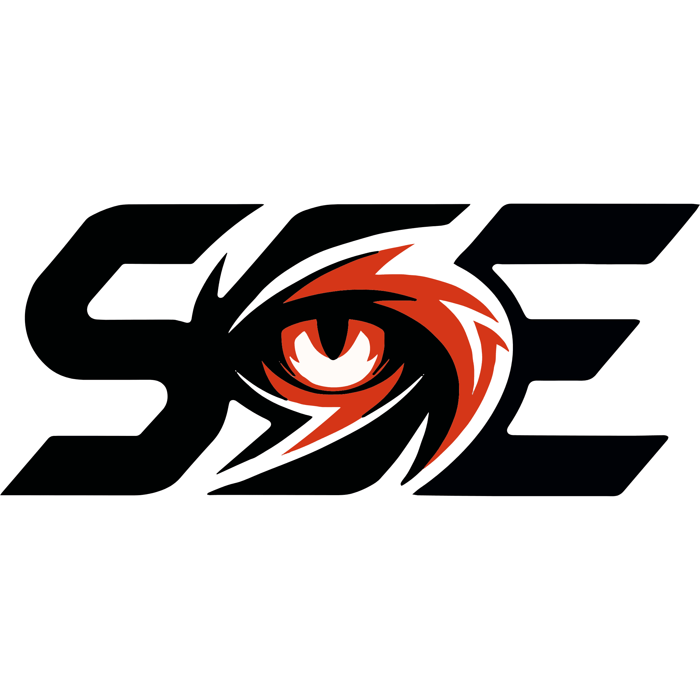 Silent Storm Esports