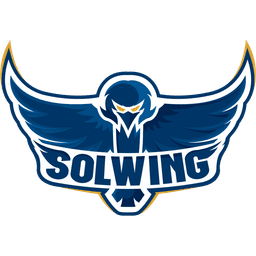 Solwing Esports