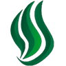 Spirit Esports logo