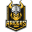 Split Raiders logo