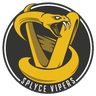 Splyce Vipers logo