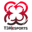 T3H Esports logo