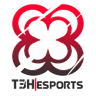 T3H Esports logo