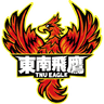 TNU Eagle logo
