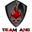 Team ANG logo