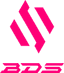 Team BDS Academy logo