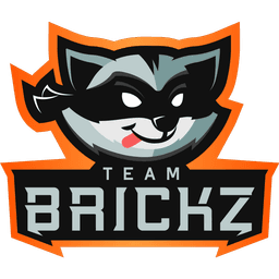 Team Brickz