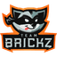 Team Brickz
