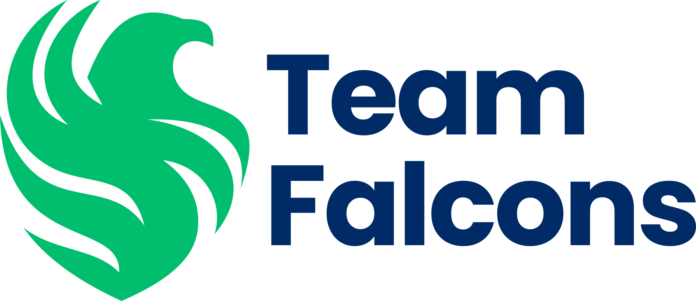 Team Falcons