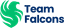 Team Falcons logo