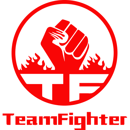 Team Fighter