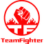 Team Fighter logo