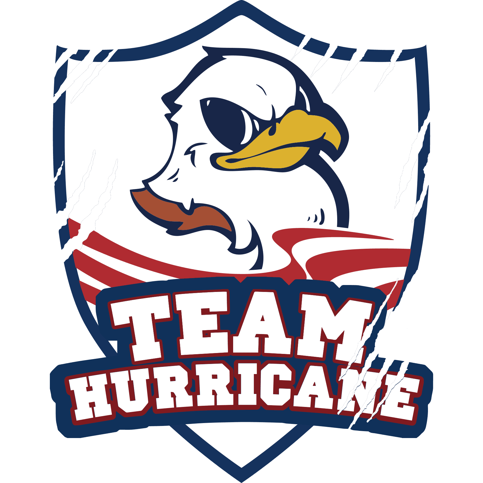 Team Hurricane