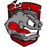 Team ROCK logo