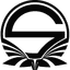 Team Singularity logo
