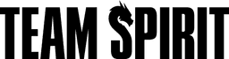 Team Spirit