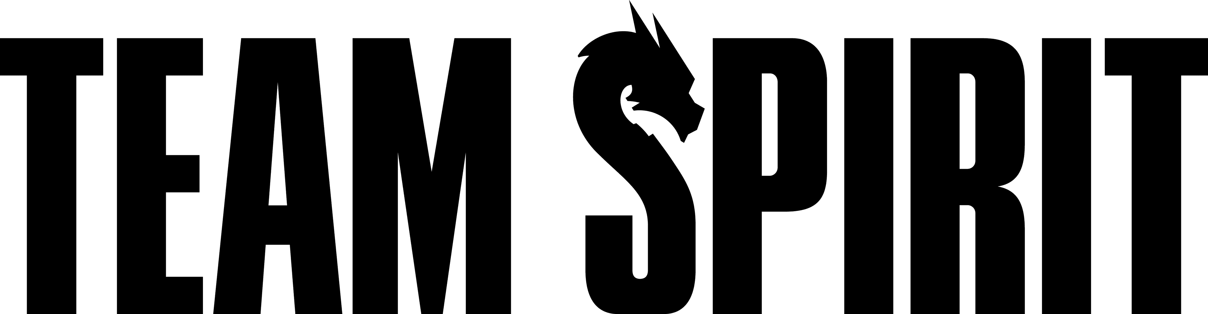 Team Spirit