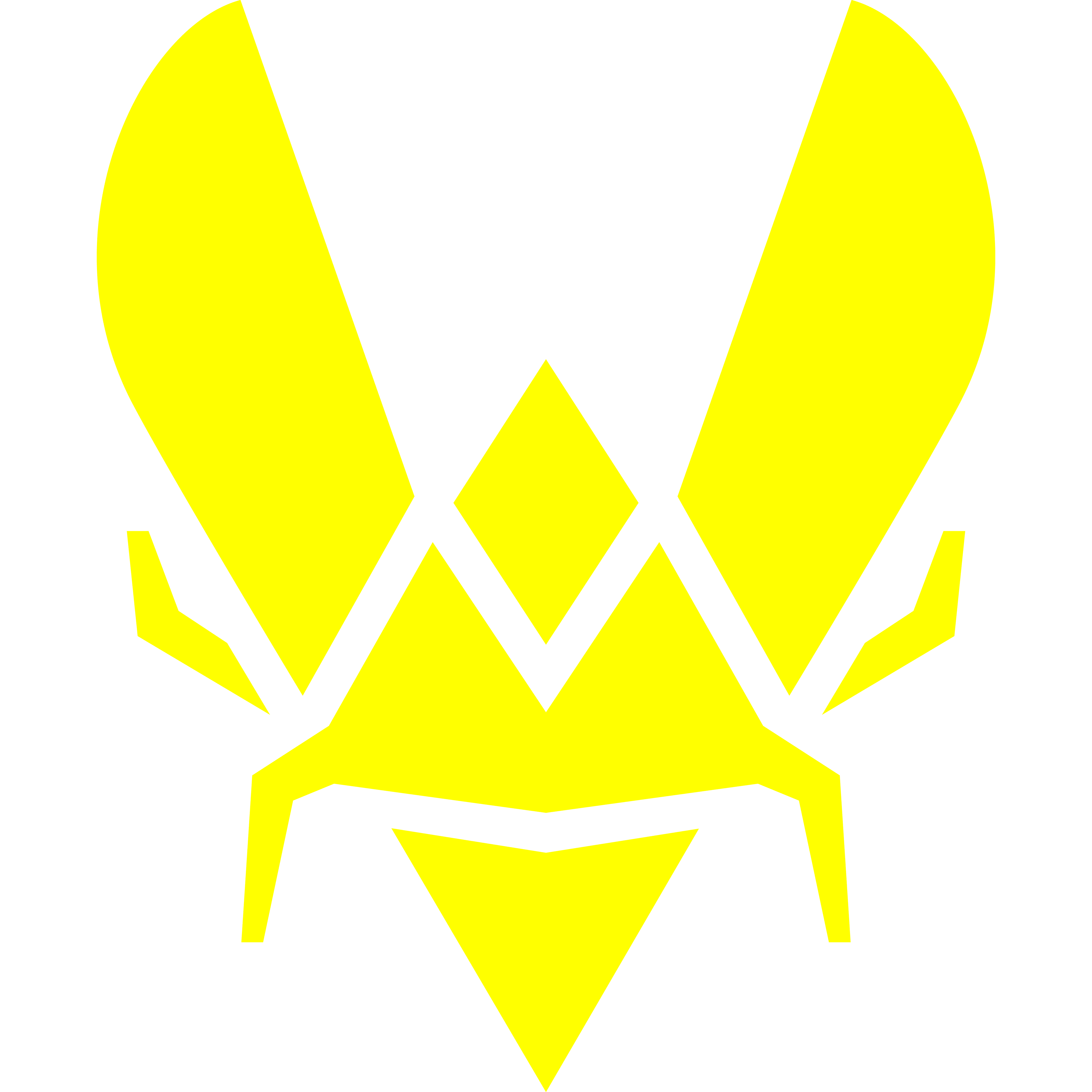 Team Vitality Academy