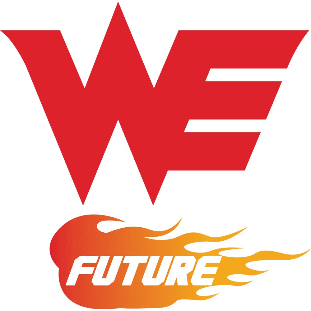 Team WE Future