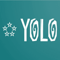 Team YOLO