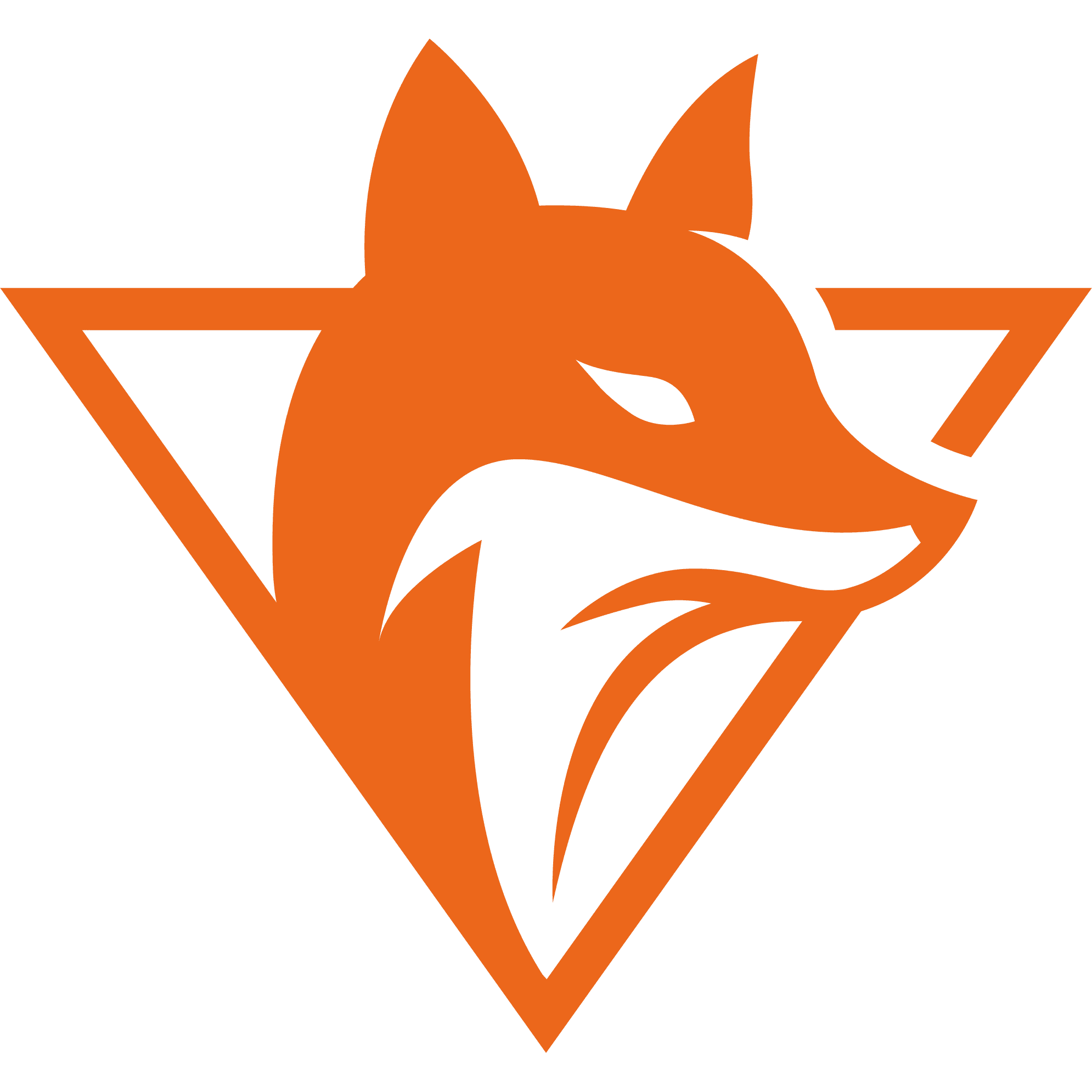 TeamOrangeGaming Academy
