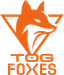 TeamOrangeGaming logo