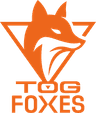 TeamOrangeGaming logo