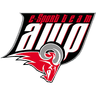 Team awp logo