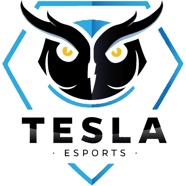 Tesla E-Sports