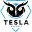 Tesla E-Sports