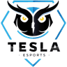 Tesla E-Sports logo