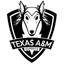 Texas A&amp;M University logo
