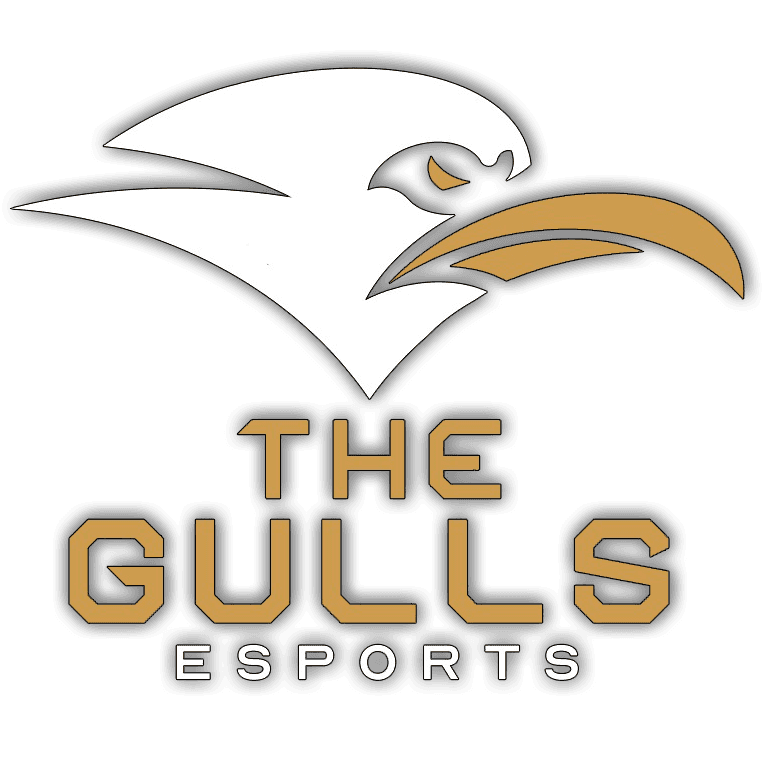The Gulls Esports