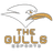 The Gulls Esports