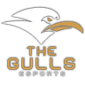 The Gulls Esports logo
