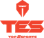 Top Esports logo