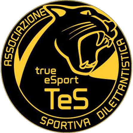 True eSport