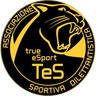 True eSport logo