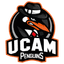 UCAM Penguins logo