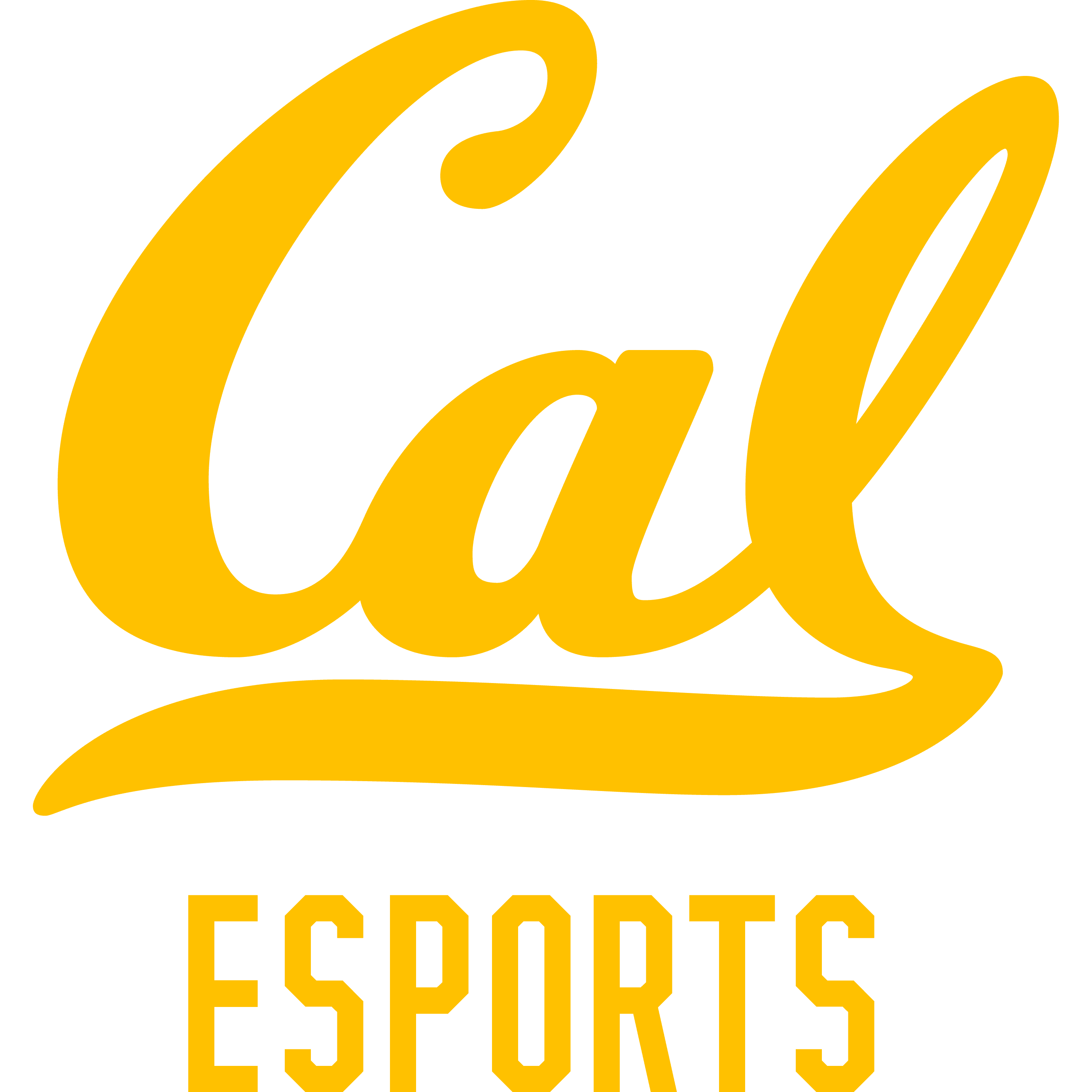 University of California Berkeley